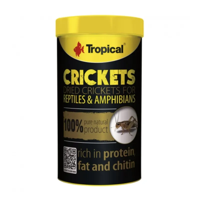 Versand Am Gleichen Tag Crickets (Heimchen) 250 ml